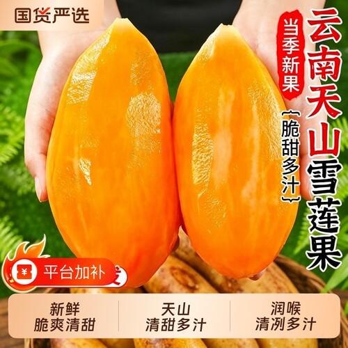 雪莲果清甜多汁新鲜整箱发