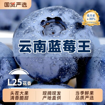 【爆款热卖】云南蓝莓王脆甜多汁