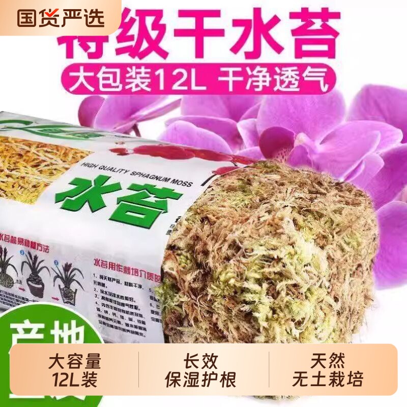 青苔水苔蝴蝶兰专用天然干苔藓兰花石斛兰植料盆栽种植植物花盆图片