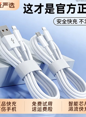 【30W认证快充】zpv官方适用苹果13充电线器iPhone14数据线头12原ipad装11手机15双typec正PD品16平板17专用