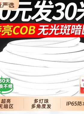led灯带220v客厅家用吊顶自粘灯条户外超亮室外COB灯带条防水白光