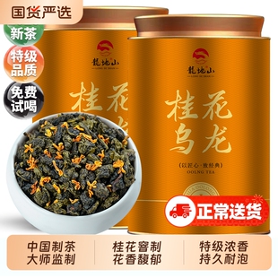 桂花乌龙茶龙地山2025特级浓香型窨制桂花茶高山茶叶罐装送礼500g