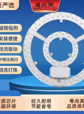 【双排珠灯板】led节能灯板灯芯吸顶灯替换光源磁铁吸附免打孔