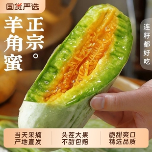 山东羊角蜜甜瓜新鲜水果5斤当季脆甜蜜瓜香瓜时令羊角脆整箱包邮