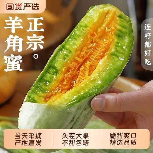 山东羊角蜜甜瓜当季鲜果脆甜多汁