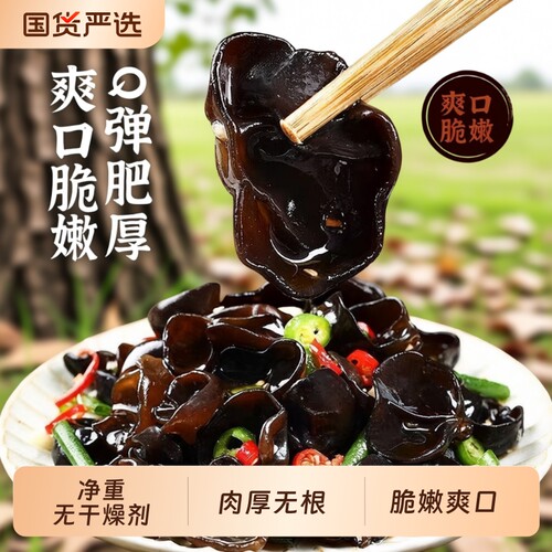 木耳干货500g东北特产正宗黑木耳优质商用长白山小碗耳肉厚新货