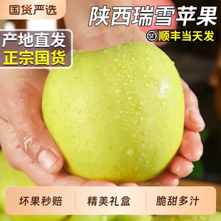 顺丰陕西瑞雪苹果当季新鲜水果青苹果脆甜鲜果礼盒装整箱送礼时令