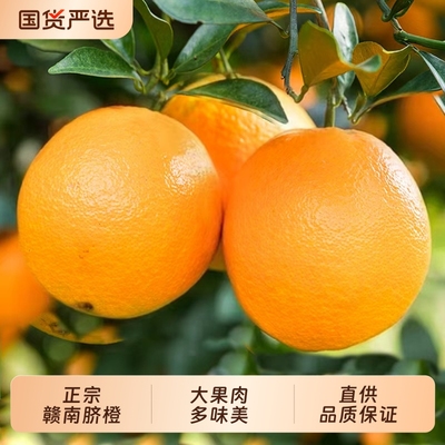 正宗江西赣南脐橙新鲜橙子直发儿童孕妇应季甜橙果园直供大果国货