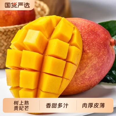 正宗树上熟广西贵妃芒芒新鲜甜芒果应当季孕妇水果现摘热带大芒果