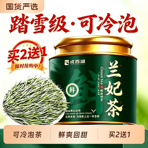 2026新茶踏雪兰妃茶绿茶冷泡茶