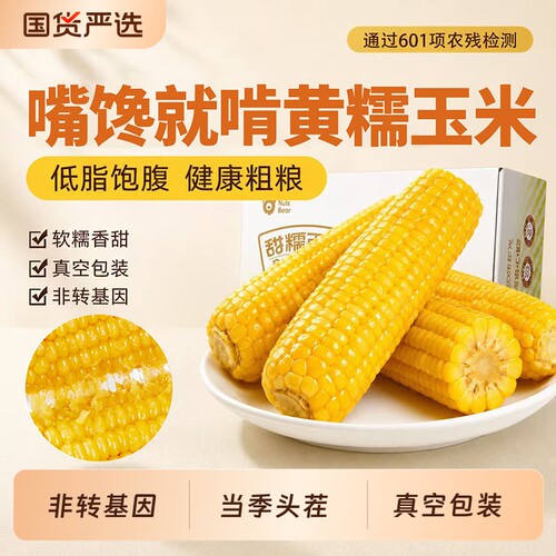 当季头茬新鲜黄糯玉米棒