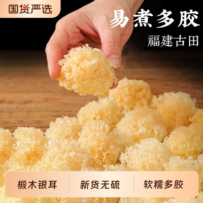 椴木小银耳干货非特级野生糯银耳羹即食冲泡易出胶雪耳朵白木耳