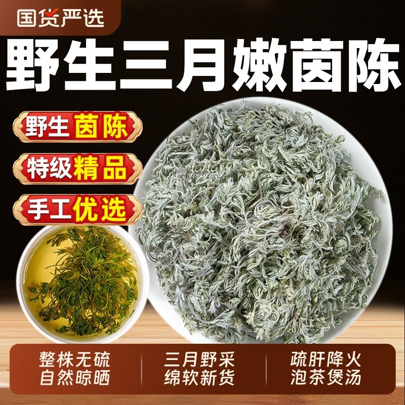 野生茵陈中药材五味子正品官方旗舰店三月绵茵陈白蒿泡茶养生功效
