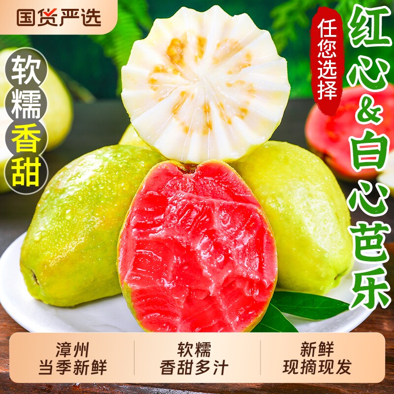 福建红心&白心芭乐新鲜水果5斤番石榴当季软甜奶油胭脂红包邮双拼