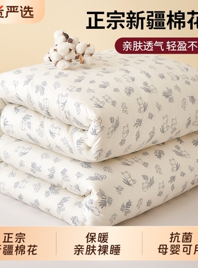 棉被新疆棉花被芯冬被冬季加厚保暖棉絮正宗长绒棉宿舍单人春秋被