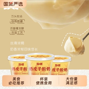 视界牧业奶皮子酸奶单杯发酵网红同款 营养奶皮子酸奶130g