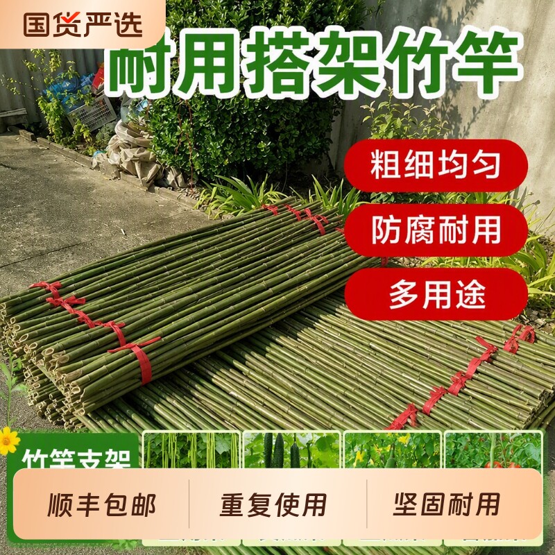 竹竿菜园搭架竹子户外黄瓜豆角爬藤菜架竹杆支架搭架杆植物葡萄架图片