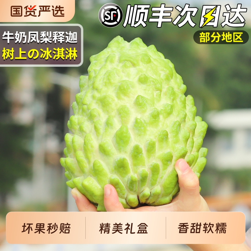 顺丰丨凤梨释迦丨礼盒装