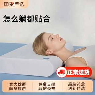 记忆棉枕头深睡蓝枕N2蓝枕芯盒子护颈椎助睡眠学生成人酒店慢回弹