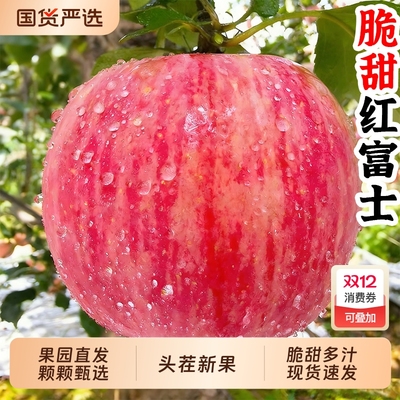 【甄选】红富士苹果水果新鲜当季冰糖心平果丑萍果脆甜整箱包邮