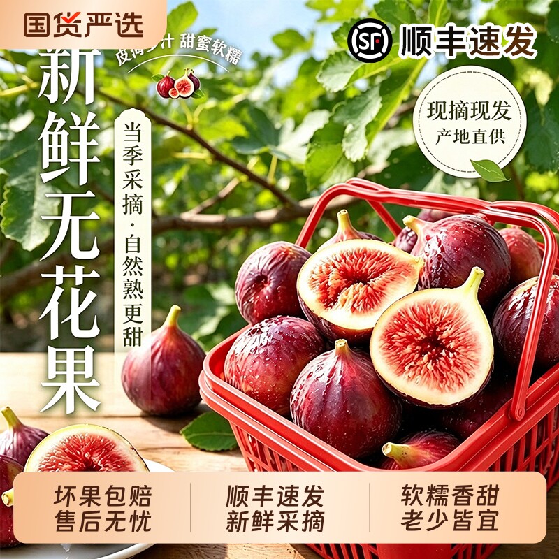 顺丰紫红皮无花果新鲜水果当季正宗青紫红皮无花果时令大果现摘