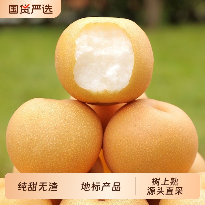 正宗圆黄梨非秋月梨丰水梨纯甜当季新鲜冰糖梨子整箱包邮鲜果国货