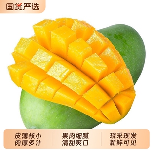 正宗青皮金煌芒单果500g+净重4.5斤