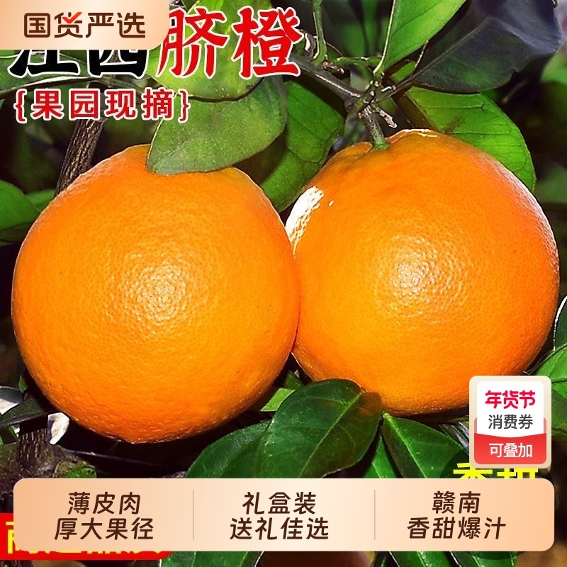 【顺丰包邮】正宗江西赣南脐橙新鲜橙子当季新鲜孕妇儿童水果