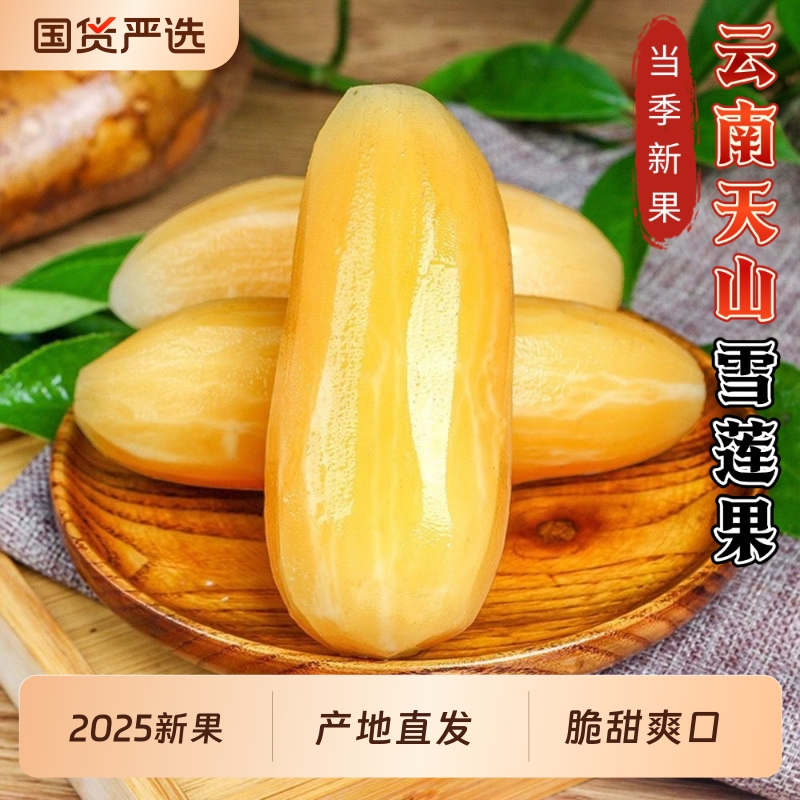 云南雪莲果低糖清甜脆爽天山雪莲果新鲜水果产地现挖现摘整箱包邮