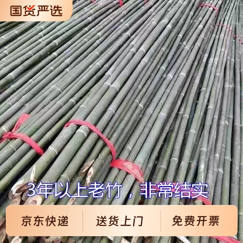 小竹杆子菜园搭架竹子户外旗杆篱笆围栏竹竿架黄瓜豆角西红柿支架