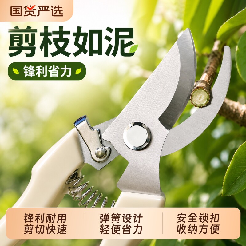 园艺剪刀修枝剪修剪果树园林花卉专用花艺家用园林工具树枝剪花