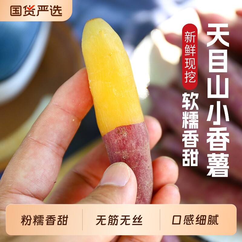 临安天目山正宗小香薯红薯板栗新鲜农家自种小番薯地瓜蜜薯自提