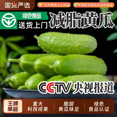 新品种减脂黄瓜送货上门