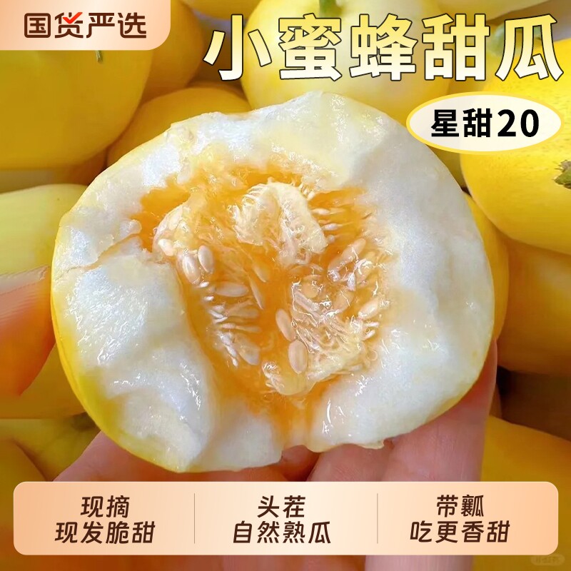 山东星甜20小蜜蜂甜瓜当季新鲜水果头茬早甜脆香瓜密糖罐包邮鲜果