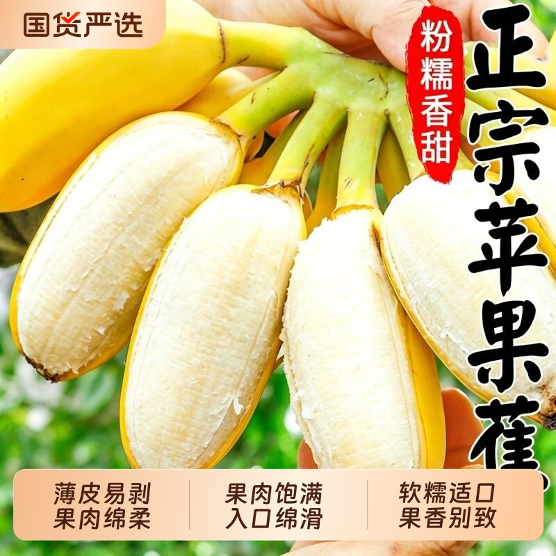 正宗苹果蕉整箱|超8000次加购