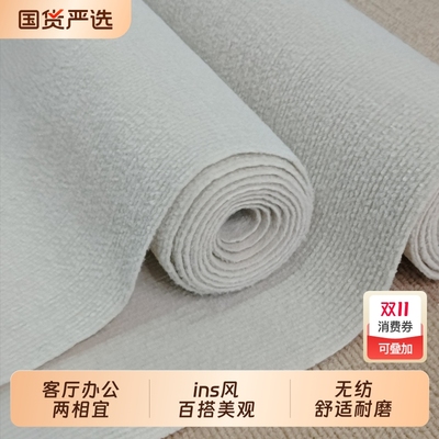 家用卧室客厅房间全铺地毯商用办公室直播间床边ins风拍照地毯