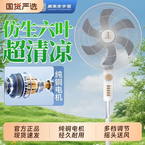 小霸王落地电风扇家用大风力风扇