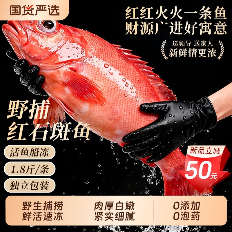 红石斑鱼礼盒鲜活冷冻超大红鱼龙胆深海富贵鱼非东星斑新海鲜水产,水产肉类/新鲜蔬果/熟食,斑鱼,淘宝优惠券,粉丝福利购,淘宝优惠卷