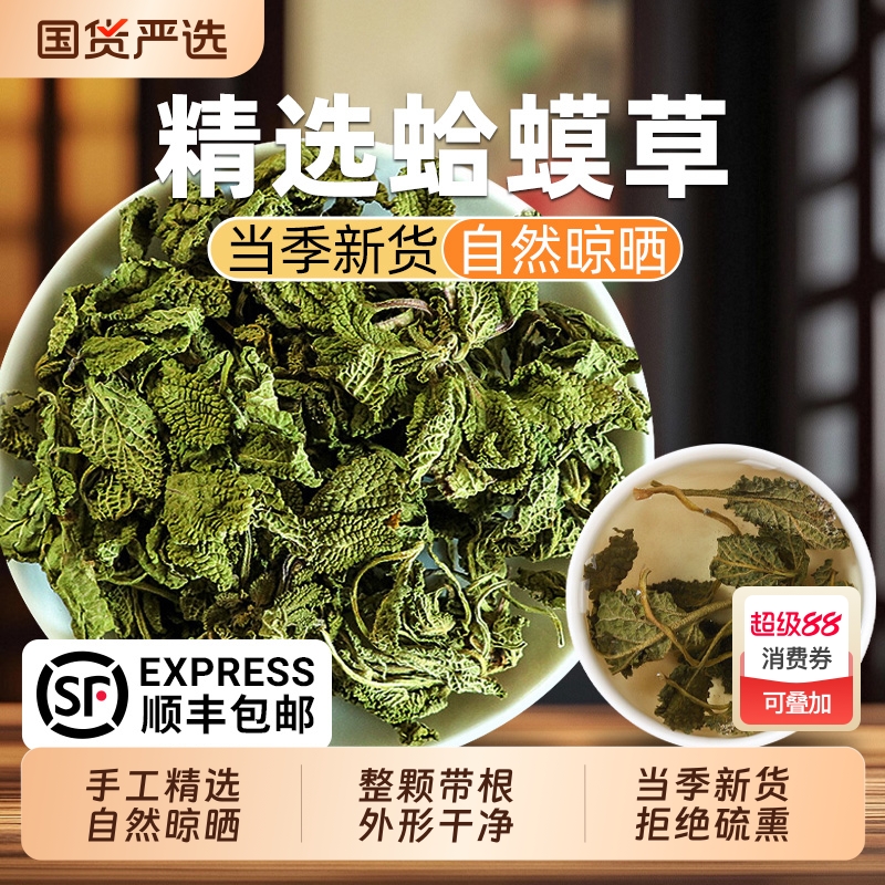 蛤蟆草癞蛤蟆草中草药材新鲜整颗干正品泡水泡茶荔枝草雪见草菜