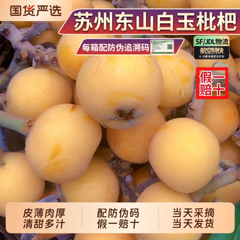 【5斤礼盒】正宗苏州东山白玉枇杷超甜大果白新鲜现摘孕妇水果沙