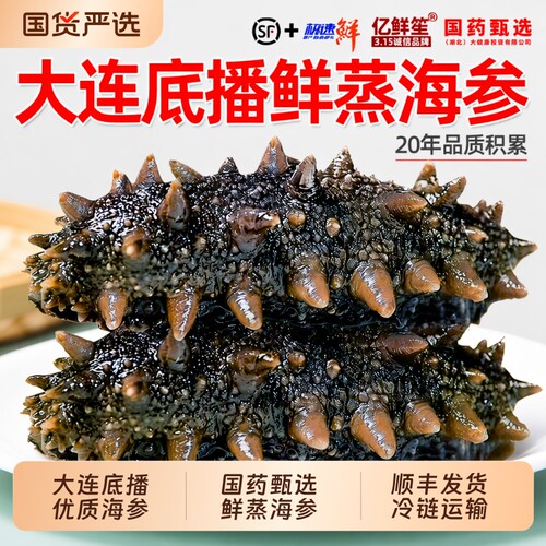 即食鲜蒸海参500g独立袋