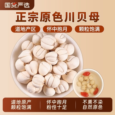 川贝母中药材正品官方旗舰店四川贝母阿坝川贝松贝止咳炖雪梨百合