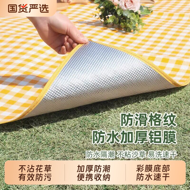 野餐垫防潮垫加厚户外野炊野营沙滩帐篷地垫防水草坪垫子便携郊游