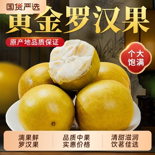 漓果鲜黄金罗汉果干果广西桂林永福特产罗汉果茶泡水喝正品独立装
