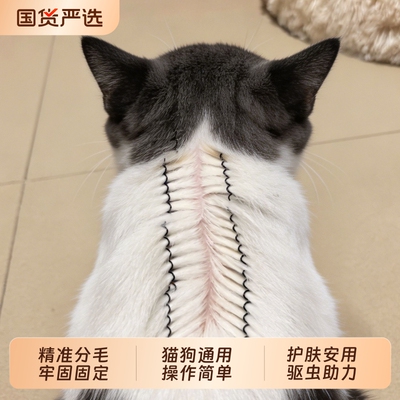 猫咪驱虫分毛夹子固定毛发辅助