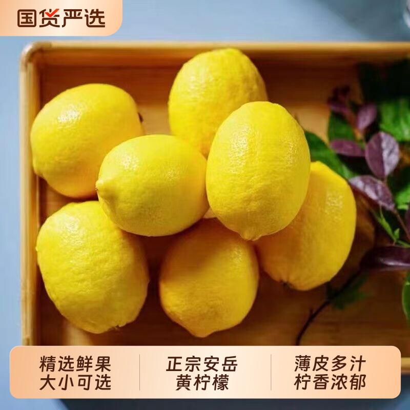 新鲜黄柠檬当季水果鲜摘直发