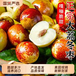 陕西大荔冬枣脆甜枣子新鲜应当季水果现摘鲜枣原产地果园直发整箱