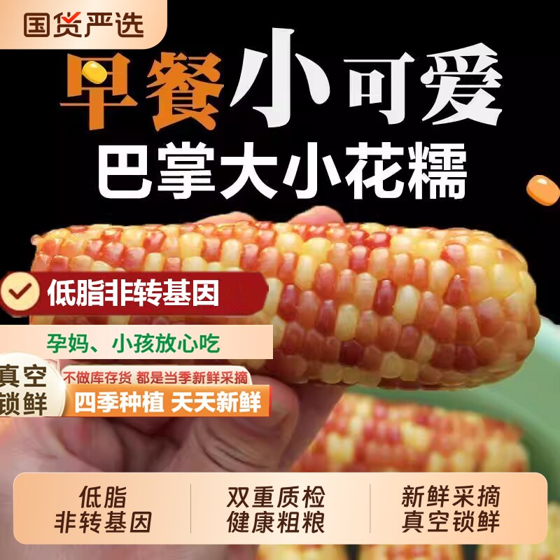 云南西双版纳糯玉米早餐加热即食新鲜香糯玉米棒粗粮小玉米真空装
