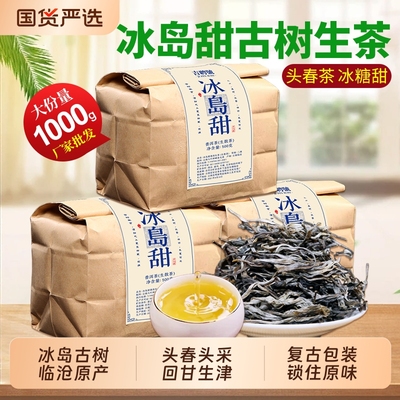 冰岛普洱茶生茶云南临沧古树普洱散茶口粮茶早春生普洱茶叶自己喝