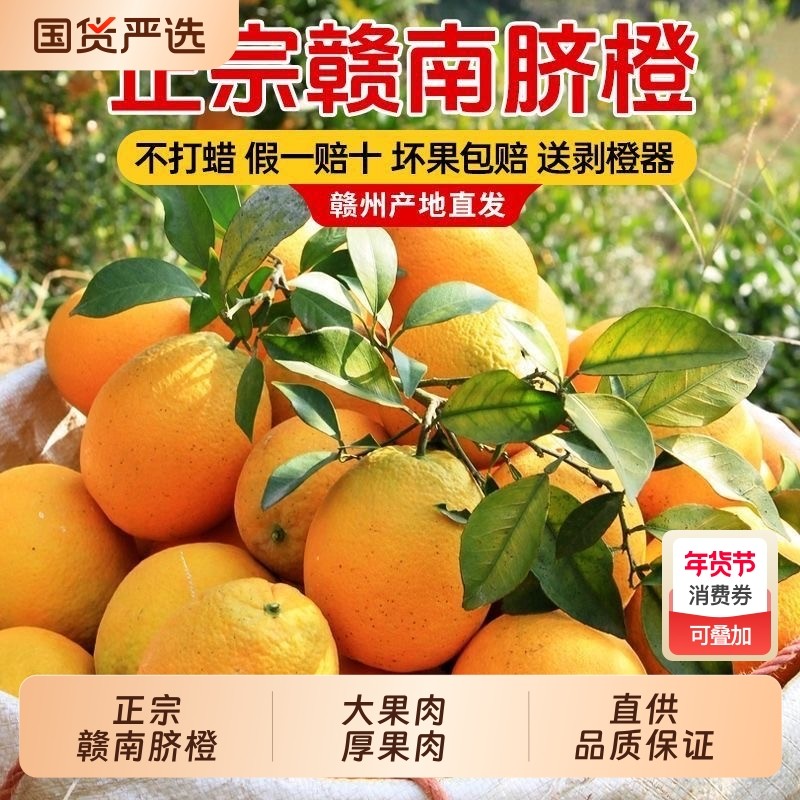 正宗橙子赣南脐橙新鲜采摘大果江西产地直发当季孕妇儿童水果榨汁
